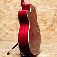 Gibson Les Paul Parlor Aoustic VCS_5