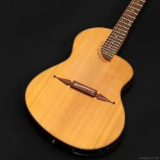 Rick Turner Guitars RS-6 Custom "Rosewood" (1999)