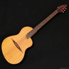 Rick Turner Guitars RS-6 Custom "Rosewood" (1999)_2