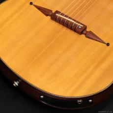 Rick Turner Guitars RS-6 Custom "Rosewood" (1999)_5