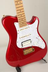 Soultool Customized Guitars Performer T22 Anzi Signature 2011_3