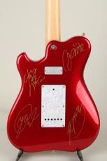 Soultool Customized Guitars Performer T22 Anzi Signature 2011_4