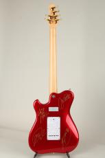 Soultool Customized Guitars Performer T22 Anzi Signature 2011_5
