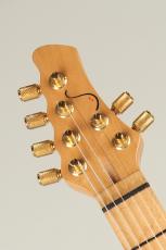 Soultool Customized Guitars Performer T22 Anzi Signature 2011_8