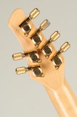 Soultool Customized Guitars Performer T22 Anzi Signature 2011_9