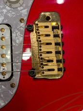 Soultool Customized Guitars Performer T22 Anzi Signature 2011_11