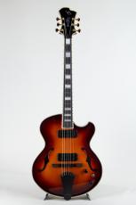 Victor Baker Guitars Model 14 Archtop 2 Pickup Tabacco Burst High Gloss Topcoat_2