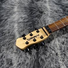 Edwards E-RS-160R Orange Tiger_5