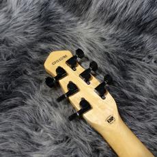 Edwards E-RS-160R Orange Tiger_9