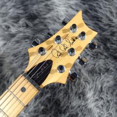 Paul Reed Smith [PRS] Johnny Hiland Signature Tortoise shell 2006_5