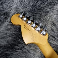 Fender American Special Stratocaster 2CS_8