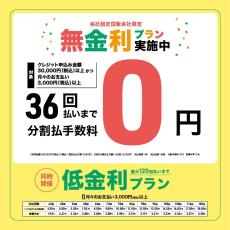 Matthew Rubendal 2018/S/EIRW/650【新品特価】【マシュー・ルーベンダール】_11