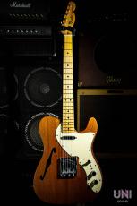 Fender Telecaster Thinline / 1969