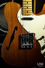 Fender Telecaster Thinline / 1969_2