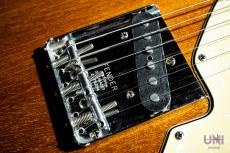 Fender Telecaster Thinline / 1969_5