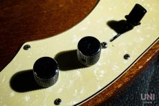 Fender Telecaster Thinline / 1969_6