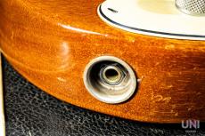 Fender Telecaster Thinline / 1969_7