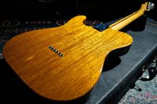 Fender Telecaster Thinline / 1969_8