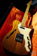Fender Telecaster Thinline / 1969_10
