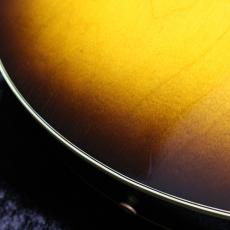 Gibson 【大幅値下げ】Howard Roberts Fusion【3.48kg】【コンパクトなフルアコ】_8