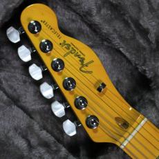 Fender 75th Anniversary American Professional Classic Cabronita Telecaster IBM #US26039914【3.65kg】_5