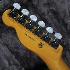 Fender 75th Anniversary American Professional Classic Cabronita Telecaster IBM #US26039914【3.65kg】_9