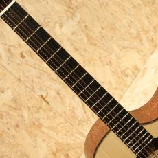 Legacy Project Dawn(OM Cutaway)_6