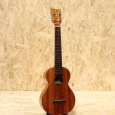 Kamaka HF-2L Concert Long Neck w/Five-o 2010_3
