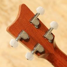 Kamaka HF-2L Concert Long Neck w/Five-o 2010_9