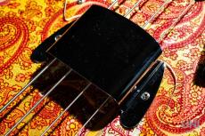 Fender Telecaster Bass "Pink Paisley"_5