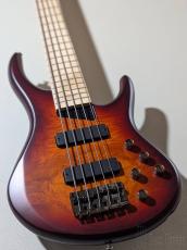 MTD Kingston ZX5 "18V Modify" -Deep Cherry Burst-【4.47kg】【USA Bartolini PU&Preamp】_10