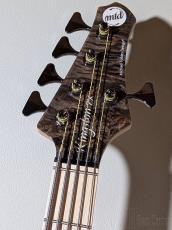 MTD Kingston ZX5 "18V Modify" -Mocha-【4.39kg】【USA Bartolini PU&Preamp】_5