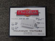 ThroBak SLE-101 MXV Set -Aged Nickel-【ギブソンフロア取扱品】_2