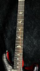 Paul Reed Smith [PRS] Charcoal Phoenix Limited Edition -Charcoal Phoenix- 2025USED!! 【美品!】【3.78Kg】_8