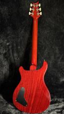 Paul Reed Smith [PRS] Charcoal Phoenix Limited Edition -Charcoal Phoenix- 2025USED!! 【美品!】【3.78Kg】_10