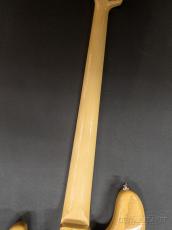 FUJIGEN NJB100MBAH -Vintage Natural-【4.27kg】【送料当社負担】_7