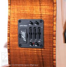 Maton Custom Shop EBG808C "Fiddleback Blackwood Custom"【60回無金利対象品】_13