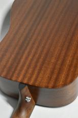 Martin D-10E-01  #2891003【ピックアップ搭載】【オール単板】_3