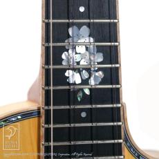 SUMI T-KAYA-SAKURA【48回無金利対象品】_10