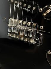 Fender Japan AST-65_9