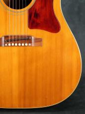 Gibson 1968 J-50_9