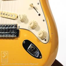 Fender Stratocaster_11