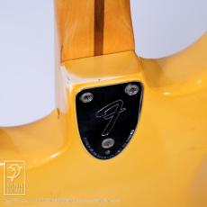 Fender Stratocaster_14