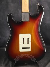 FUJIGEN(FGN) 2024 NST100RAL Sunburst_5