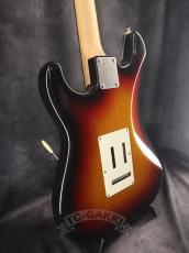 FUJIGEN(FGN) 2024 NST100RAL Sunburst_8