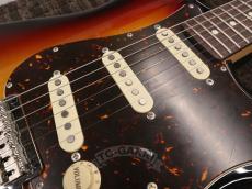 FUJIGEN(FGN) 2024 NST100RAL Sunburst_14