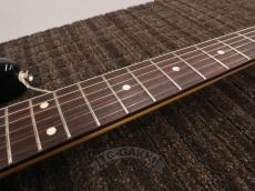 FUJIGEN(FGN) 2024 NST100RAL Sunburst_16