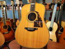 Shelly SS-D70  Brazilian Rosewood