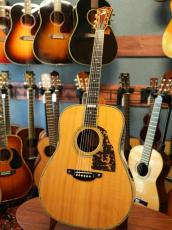 Shelly SS-D70  Brazilian Rosewood_2