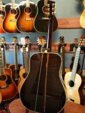 Shelly SS-D70  Brazilian Rosewood_4